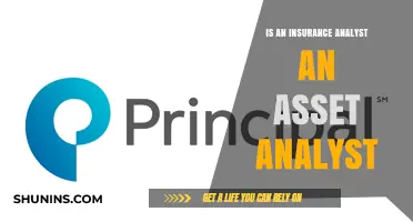 Insurance Analyst vs. Asset Analyst: Roles, Responsibilities, and Key Differences