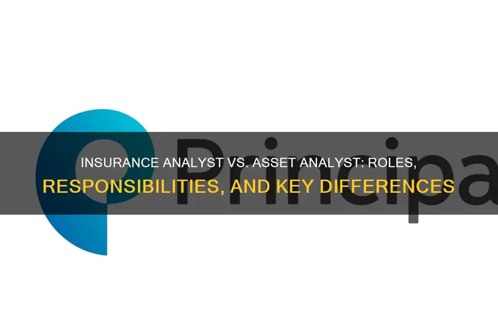 is an insurance analyst an asset analyst
