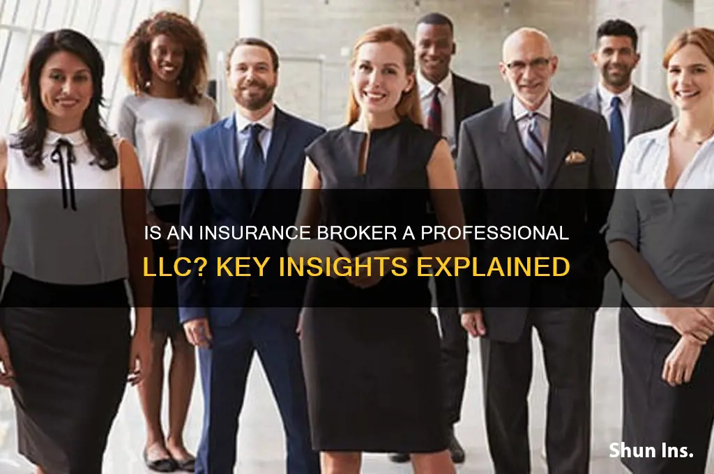 is an insurance broker a professional llc