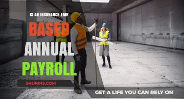 Understanding Insurance EMR and Its Impact on Annual Payroll Calculations
