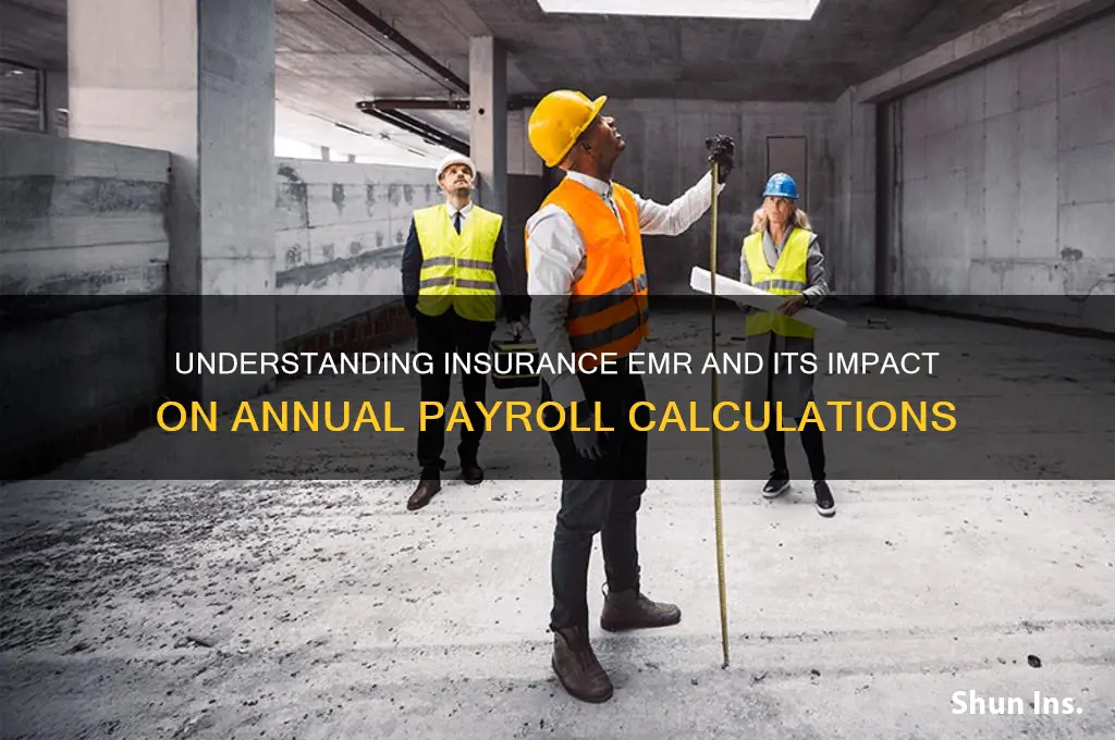 is an insurance emr based annual payroll