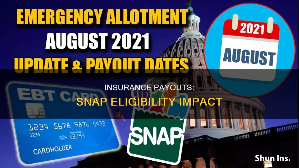 is an insurance payout considered for snap eligibility