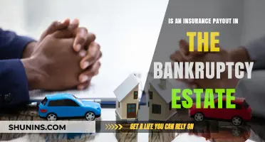 Insurance Payouts and Bankruptcy: Are They Part of the Estate?