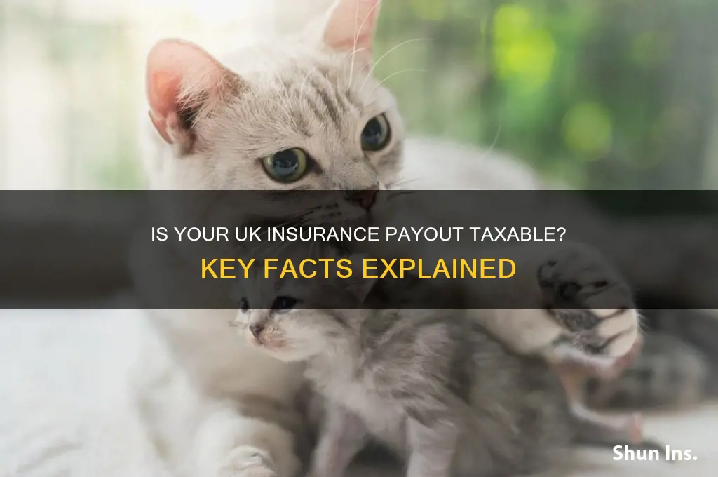 is an insurance payout taxable uk