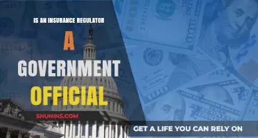 Are Insurance Regulators Government Officials? Understanding Their Role and Authority