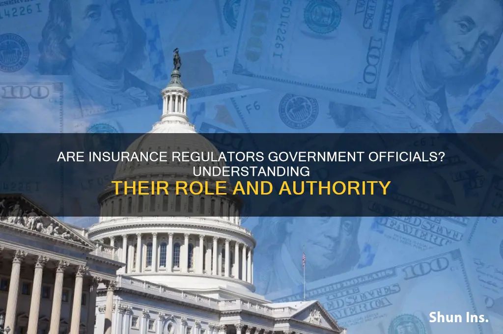 is an insurance regulator a government official