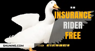 Are Insurance Riders Free? Understanding Costs and Benefits