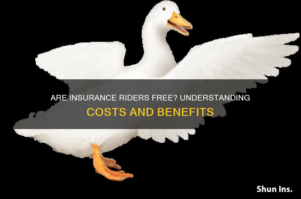 is an insurance rider free