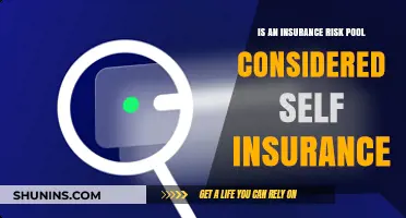 Understanding Risk Pools: Self-Insurance Explained
