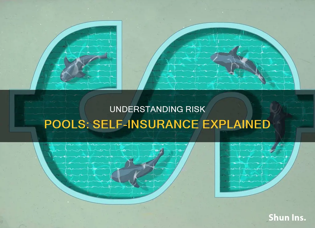 is an insurance risk pool considered self insurance