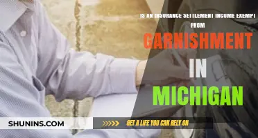 Michigan Insurance Settlements: Are They Exempt from Garnishment?