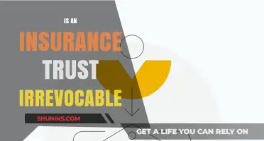 Is an Insurance Trust Irrevocable? Understanding Your Options and Benefits