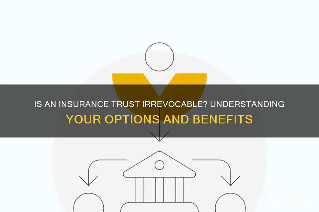 is an insurance trust irrevocable