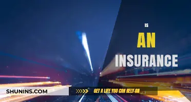 Understanding the Basics: What Is an Insurance and Why It Matters