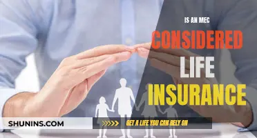 What is an MEC? Life Insurance Explained