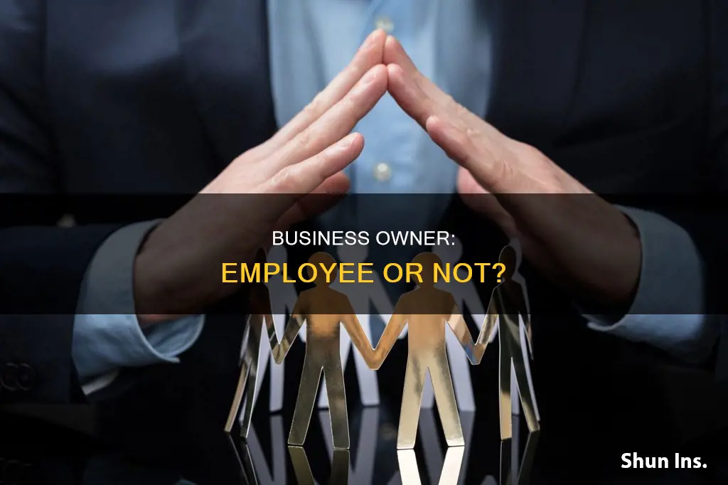 is an owner considered an employee for insurance