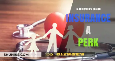 Evaluating Health Insurance as a Perk for Business Owners