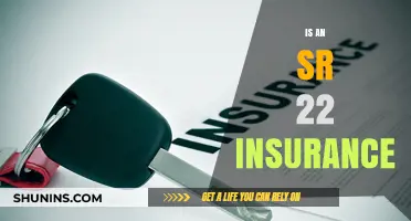 Understanding SR-22 Insurance: What It Is and Who Needs It