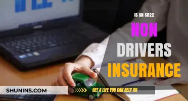 Understanding SR22 Non-Driver Insurance: Coverage, Costs, and Requirements Explained
