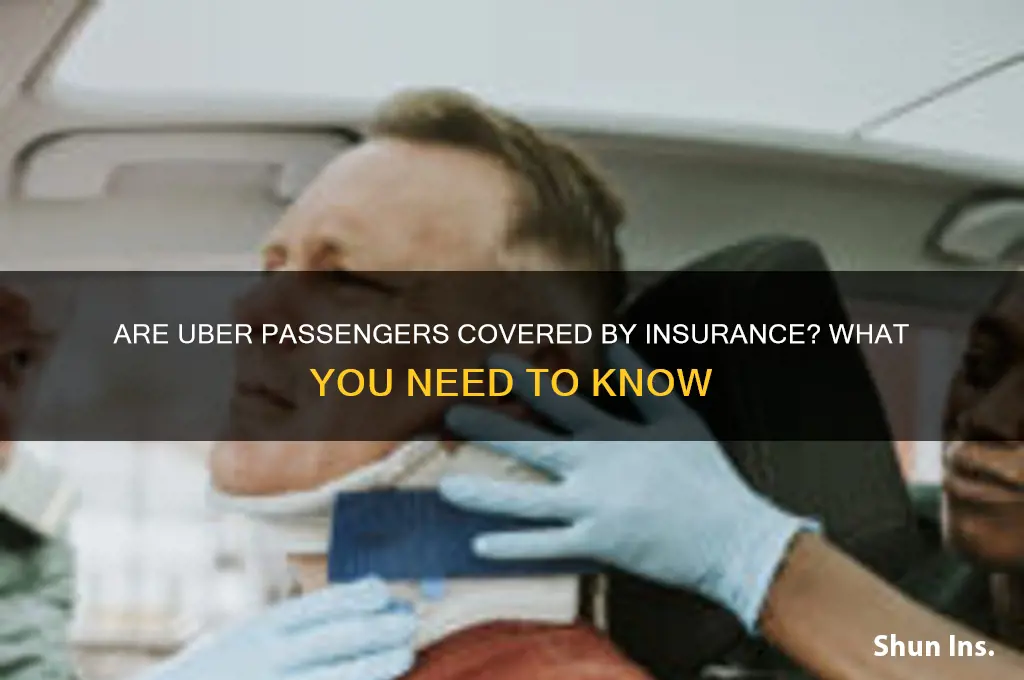 is an uber passenger insured