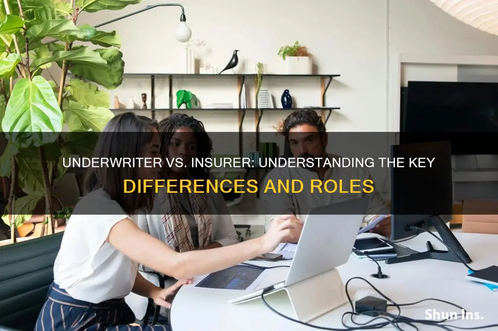 is an underwriter the same as an insurer