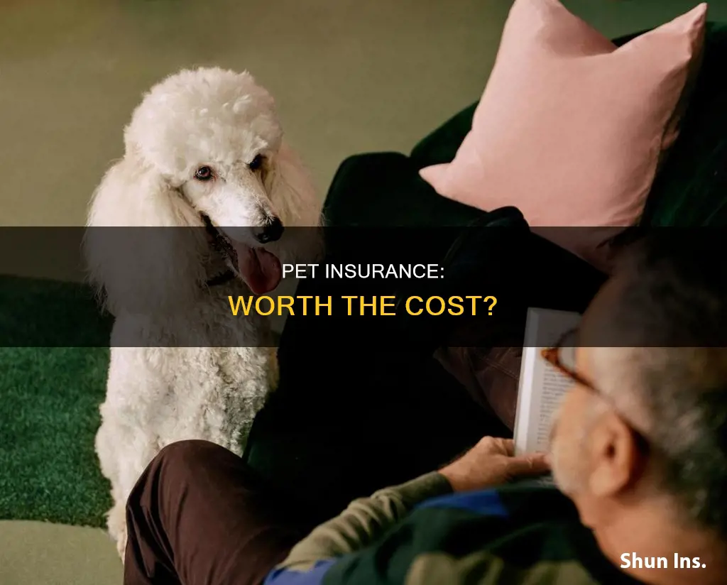 is animal insurance worth it