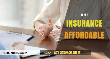 Is Any Insurance Affordable? Exploring Cost-Effective Coverage Options