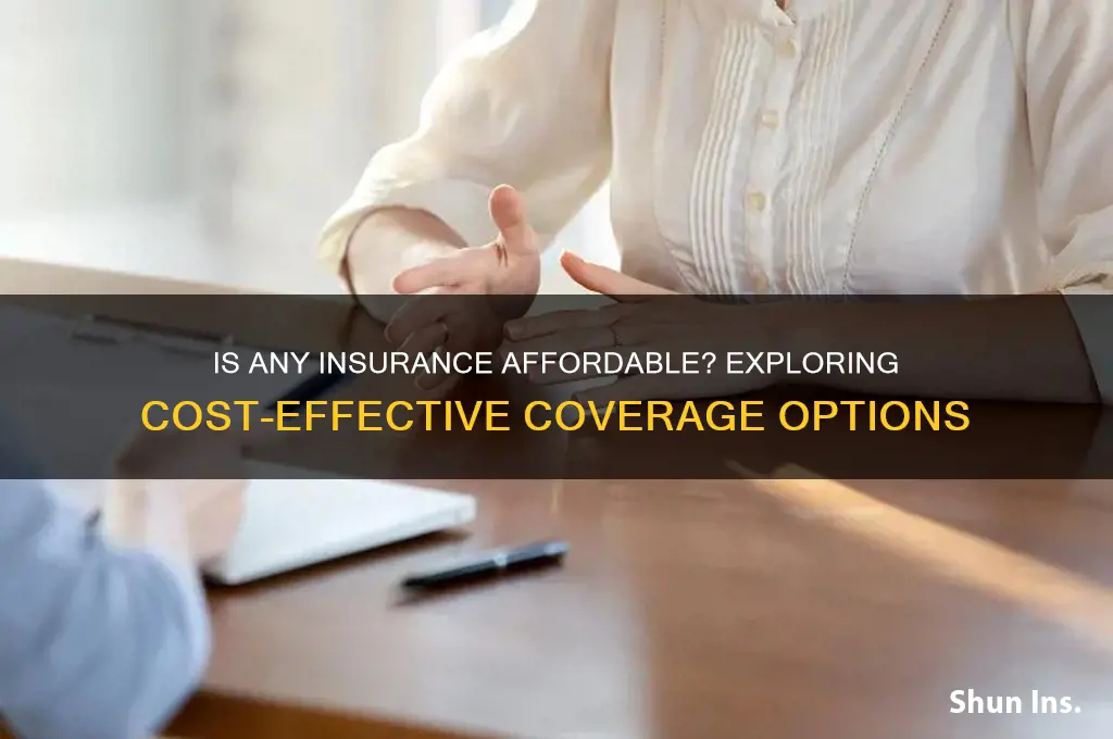 is any insurance affordable