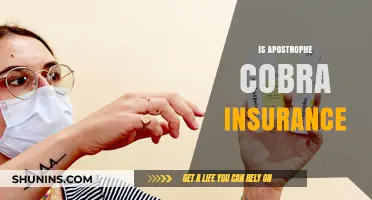 Understanding Apostrophe Cobra Insurance: Benefits, Costs, and Coverage Explained