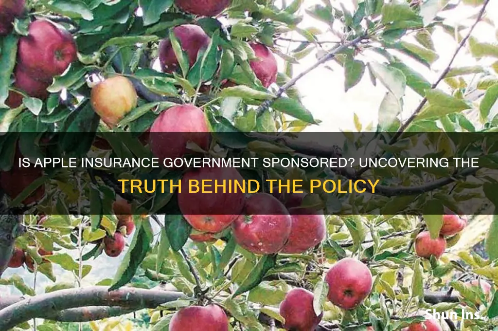 is apple insurance government sponsored