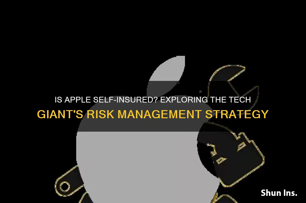 is apple self insured