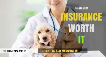 ASPCA Pet Insurance: Is It Worth the Cost?