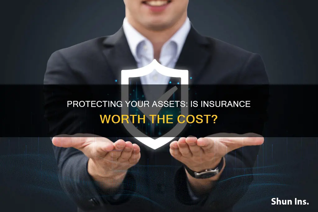 is asset protection insurance worth it