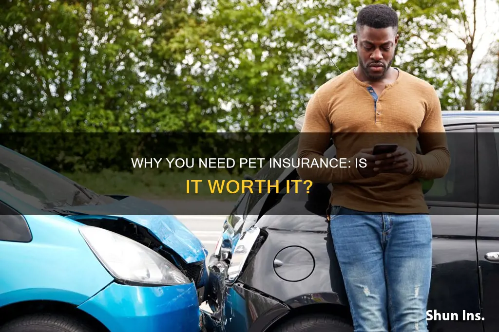 is ate insurance worth it