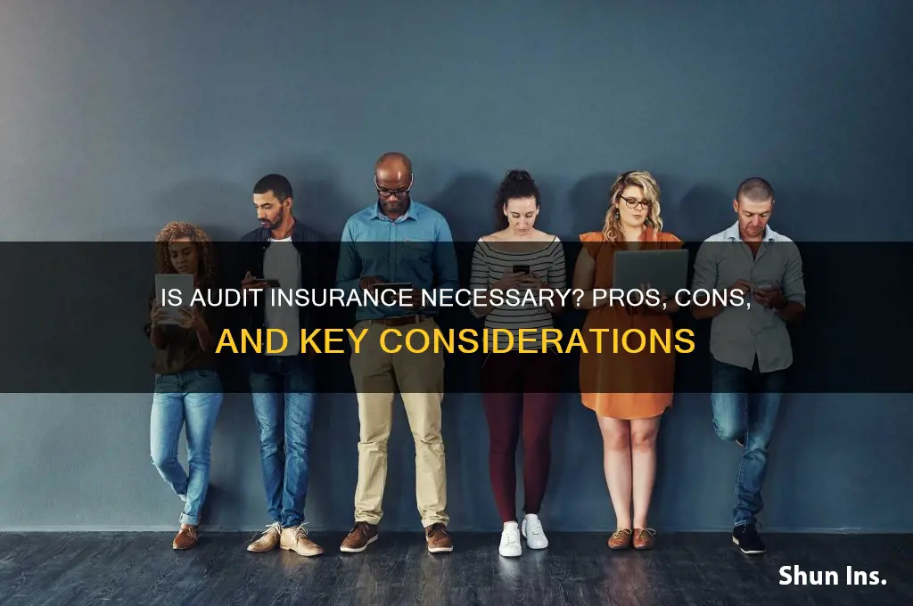 is audit insurance necessary