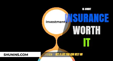 Audit Insurance: Is It a Worthy Investment?
