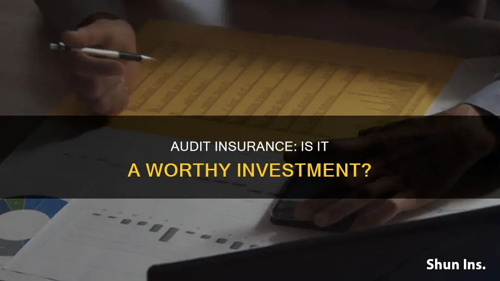 is audit insurance worth it