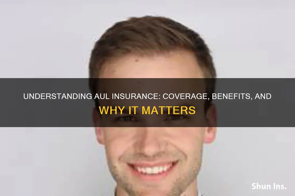 is aul insurance