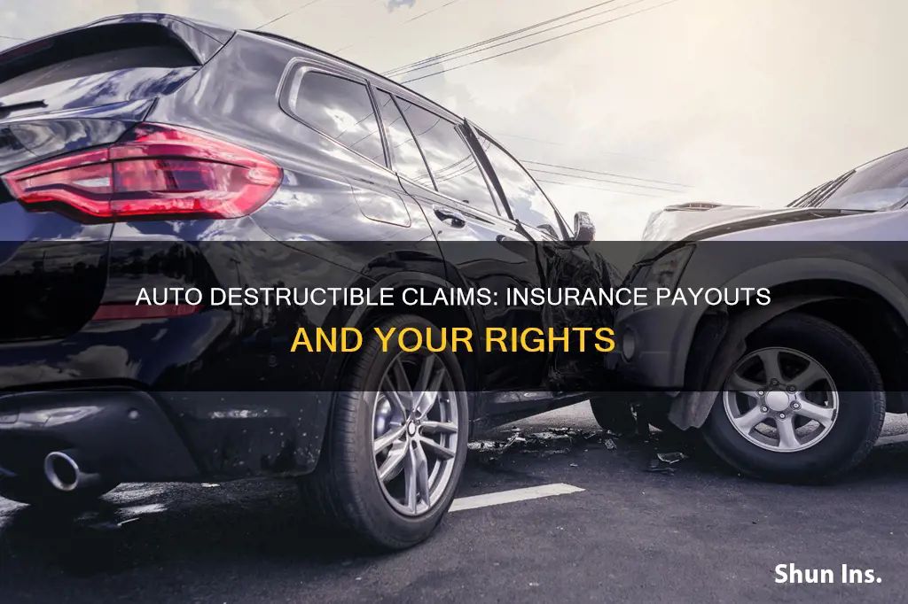 is auto destructible paid to insurance company