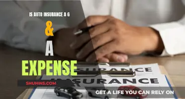 Auto Insurance: G&A Expense or Necessary Cost?