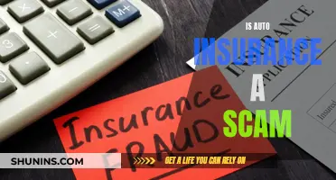 Auto Insurance: Scam or Necessary Evil?