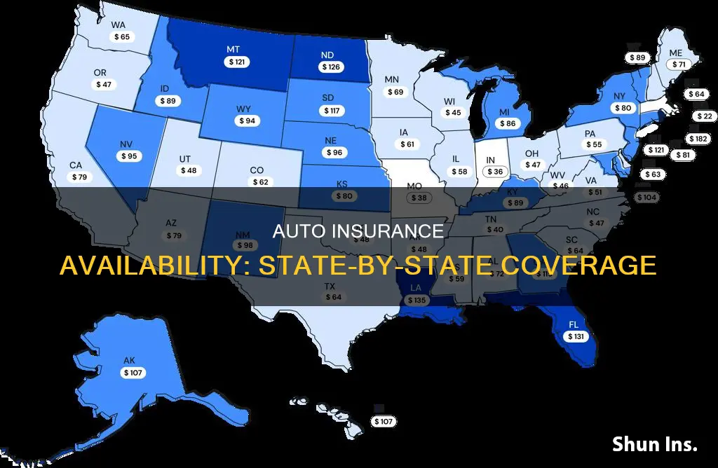 is auto insurance active in every state