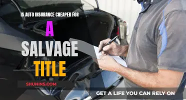 Salvage Titles: Cheaper Auto Insurance or Costly Risk?