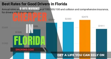 Auto Insurance in Florida: Affordable or Not?