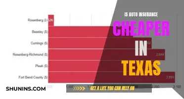 Auto Insurance in Texas: Is It Affordable?