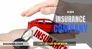 Auto Insurance: Is It Worth the Cost?