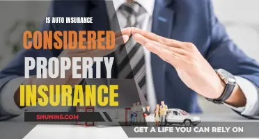 Auto Insurance: Property Protection or Not?