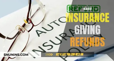 Auto Insurance Refunds: Are They Real?