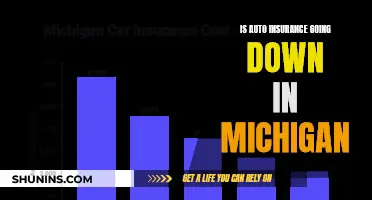 Auto Insurance in Michigan: Is It Getting Cheaper?