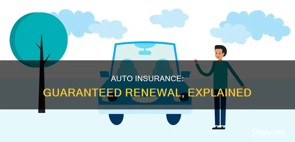 is auto insurance guaranteed renewable